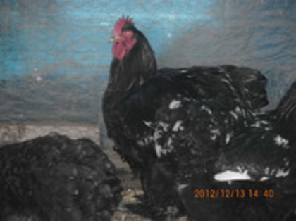 83806073_DYGXZDI