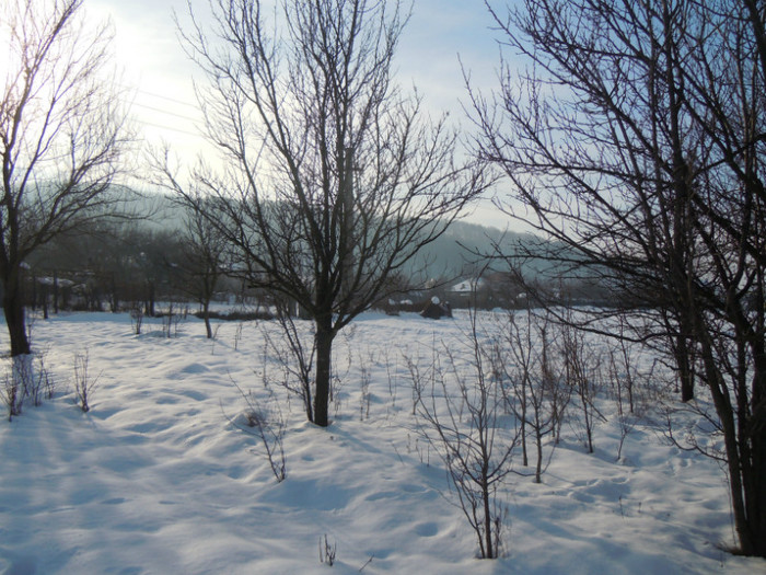 DSCN7835 - 2013 Wintertime
