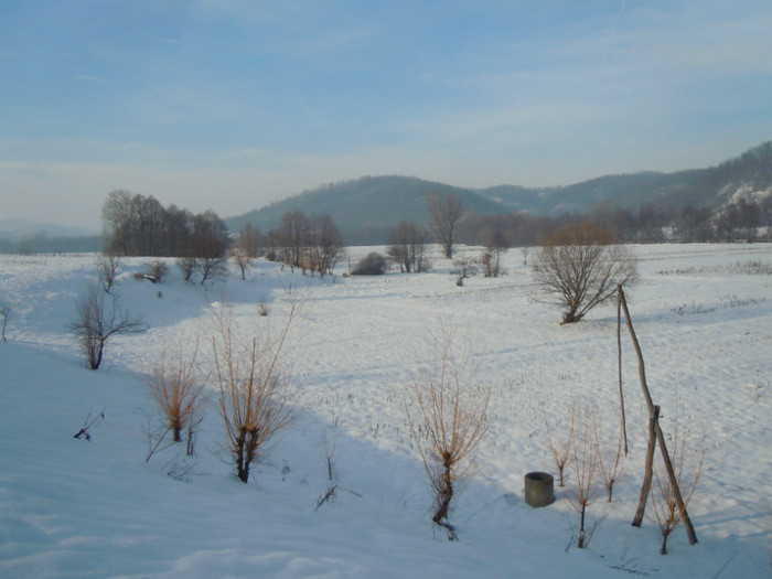DSCN7836 - 2013 Wintertime