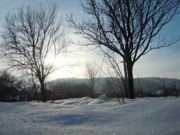 DSCN7849 - 2013 Wintertime