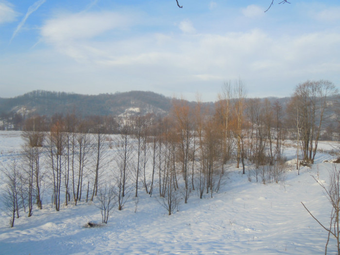 DSCN7884 - 2013 Wintertime