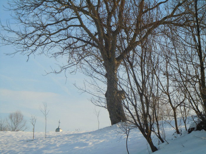DSCN7902 - 2013 Wintertime