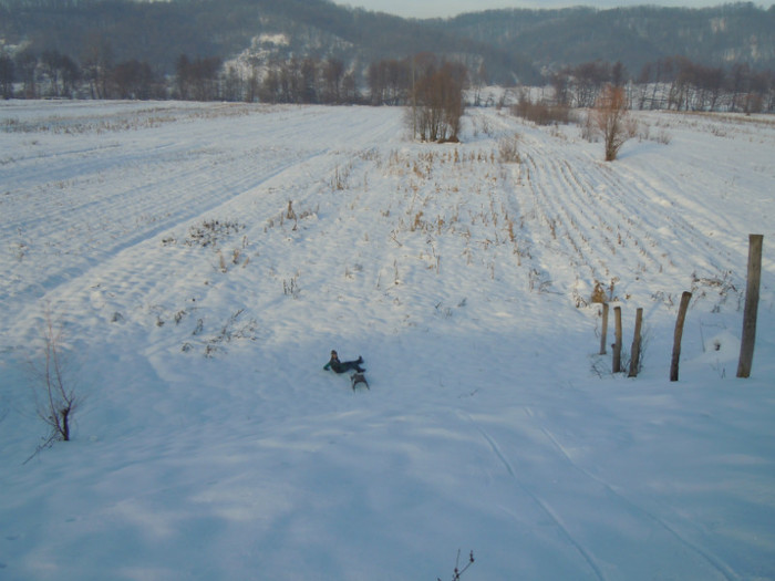 DSCN7904 - 2013 Wintertime