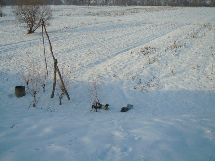 DSCN7909 - 2013 Wintertime