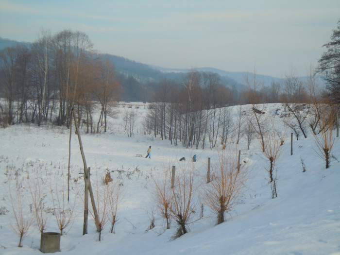 DSCN7940 - 2013 Wintertime