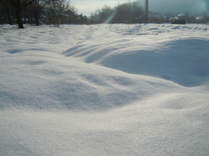 DSCN7957 - 2013 Wintertime