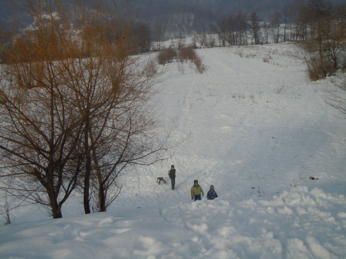 DSCN7980 - 2013 Wintertime