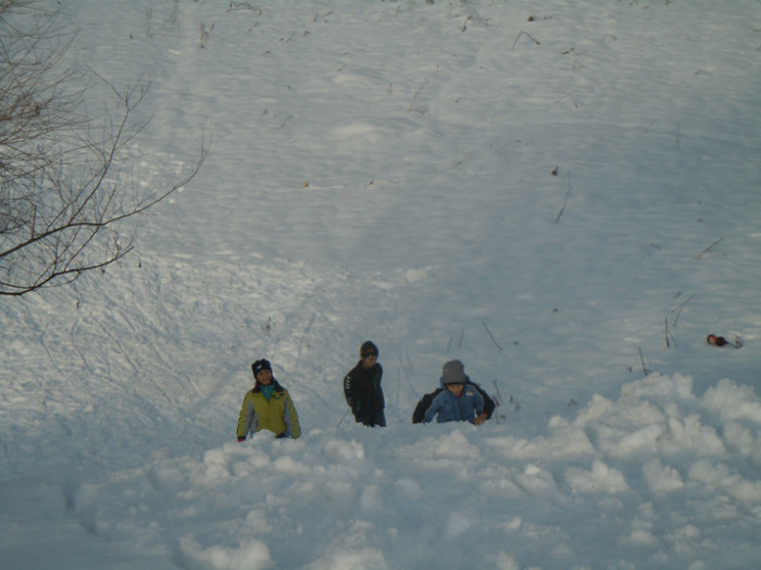 DSCN7981 - 2013 Wintertime