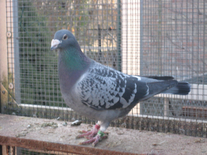 IMG_6701 Huub Hendrix