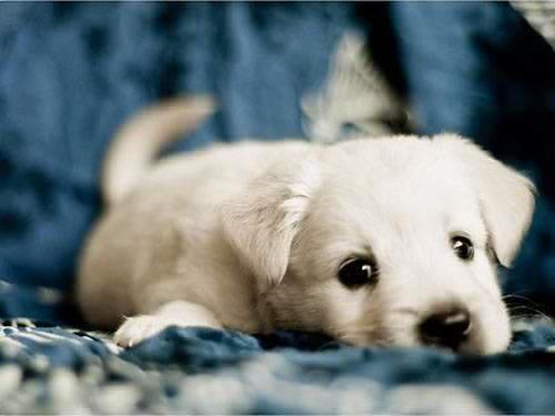 tumblr_lwdle02oZS1r3t8ico1_500_large