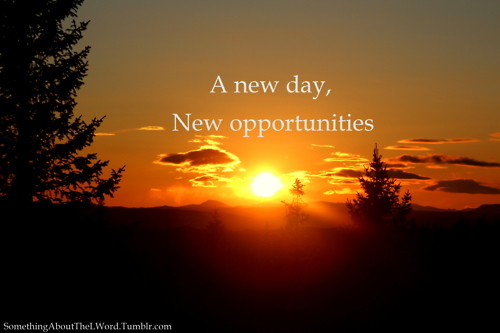 tumblr_m2gqvsh62z1rpivfgo1_500_large