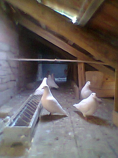 Fotogr.0517