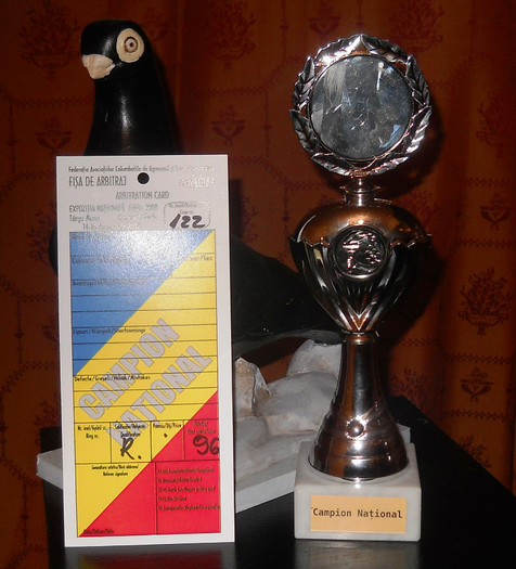 Campion Național Tg-Mureș 2012 - TROFEE