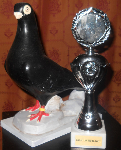 Campion Național Tg-Mureș 2012 - TROFEE