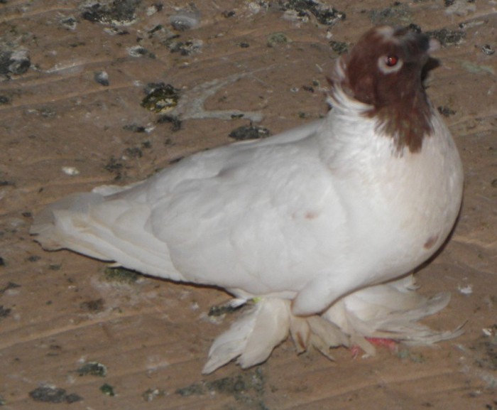 P7140140