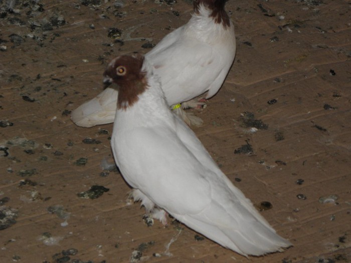 P7140141