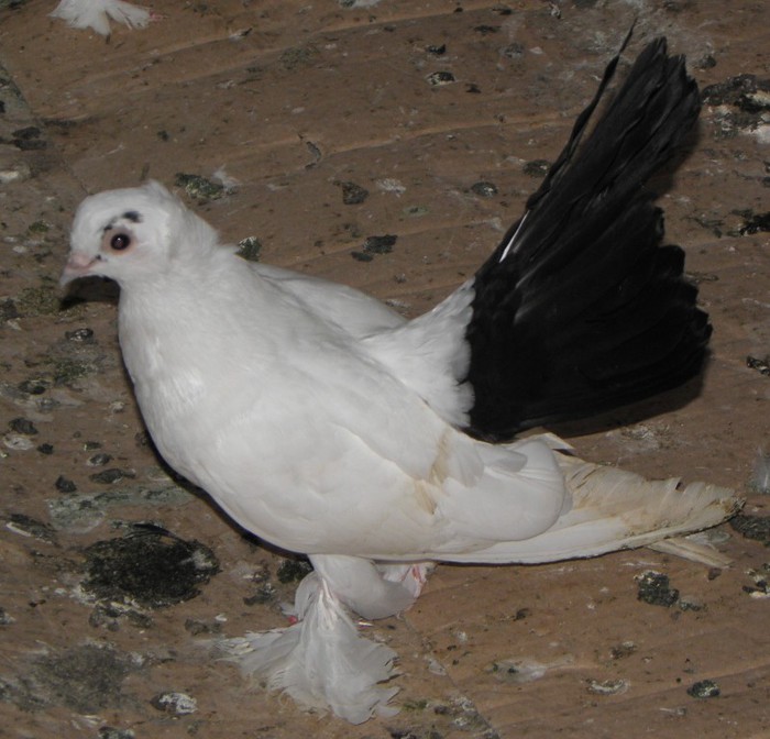 P7140146