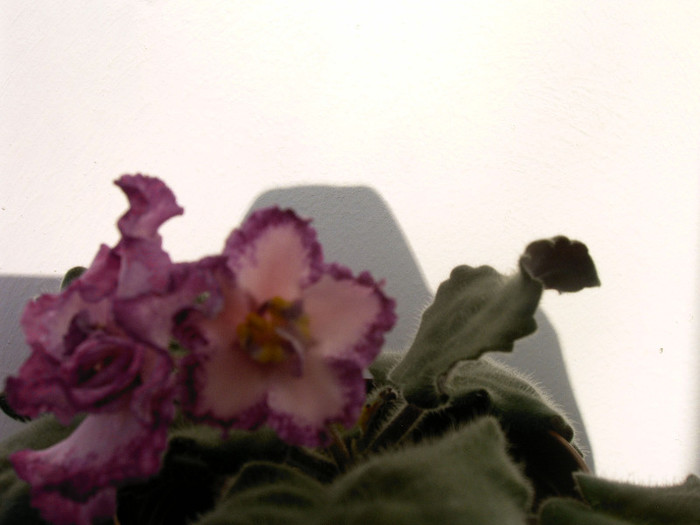IMAG0030