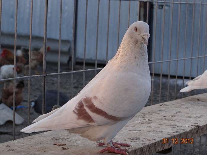 DSC01234