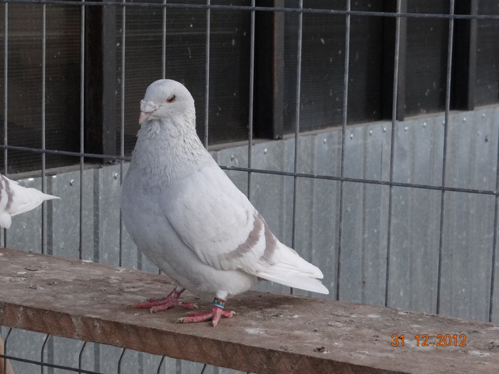 DSC01305