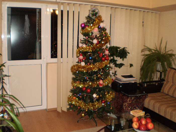 P2040015 - REVELION 2011-2012-2013-2014-2015_2017-2018