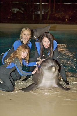 normal_1 - Visiting Dolphin Habitat in Las Vegas 2008