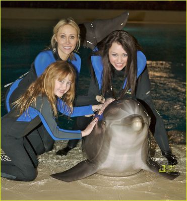 normal_2 - Visiting Dolphin Habitat in Las Vegas 2008