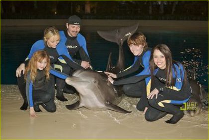 normal_3 - Visiting Dolphin Habitat in Las Vegas 2008