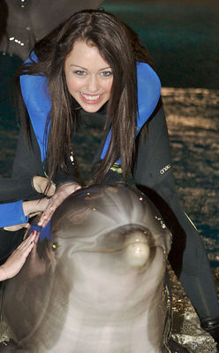 normal_4 - Visiting Dolphin Habitat in Las Vegas 2008