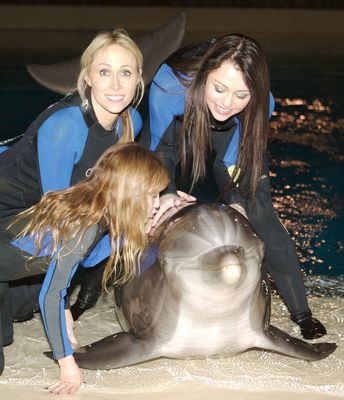 normal_5 - Visiting Dolphin Habitat in Las Vegas 2008