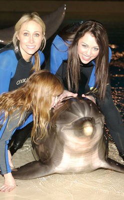 normal_7 - Visiting Dolphin Habitat in Las Vegas 2008
