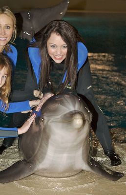 normal_9 - Visiting Dolphin Habitat in Las Vegas 2008