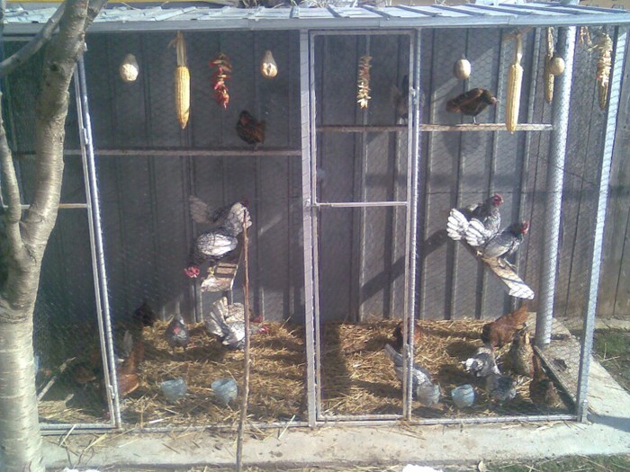 poze august 2012 053