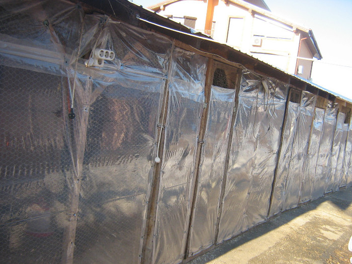 poze gaini 2013 ian 2 092