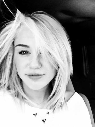 392209_342156505871604_490772421_n