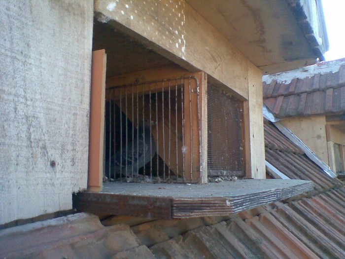 01012013(004) - Voiajori