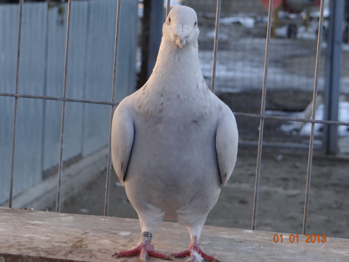 DSC01344