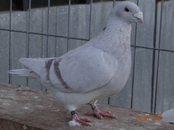 DSC01505
