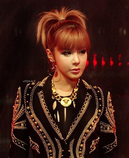 530303_424319434307626_485171607_n_large - 2NE1 3