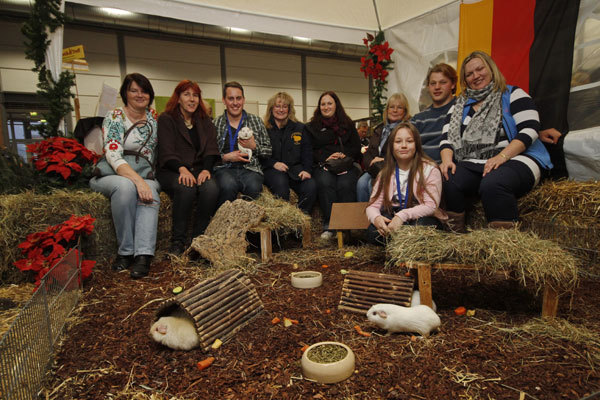 Cavia rund um das Haus - i - Leipzig 2012 porumbei