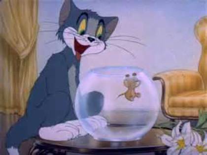 Tom si Jerry