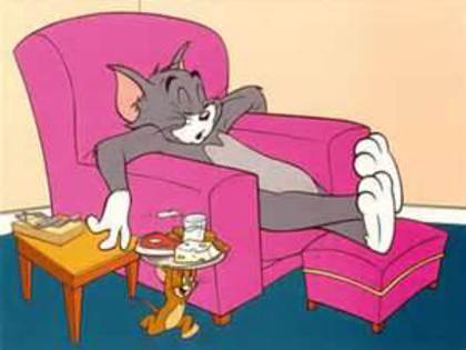 Tom si Jerry