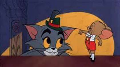 Tom si Jerry