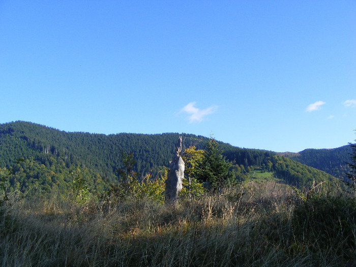 DSCF2057 - Tibles 1