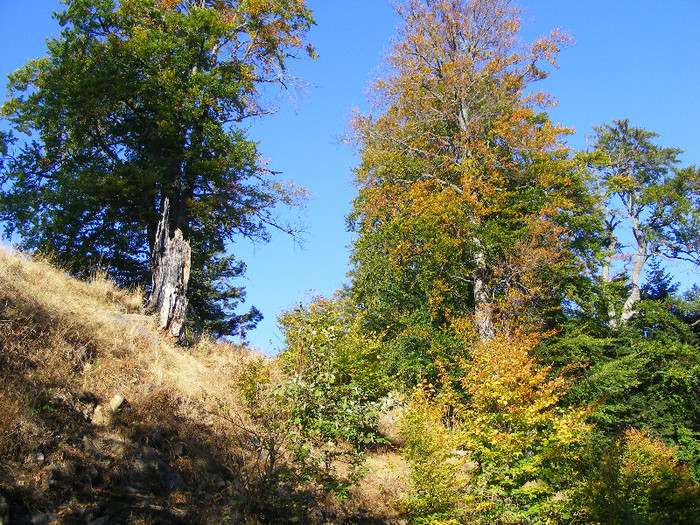 DSCF2065 - Tibles 1