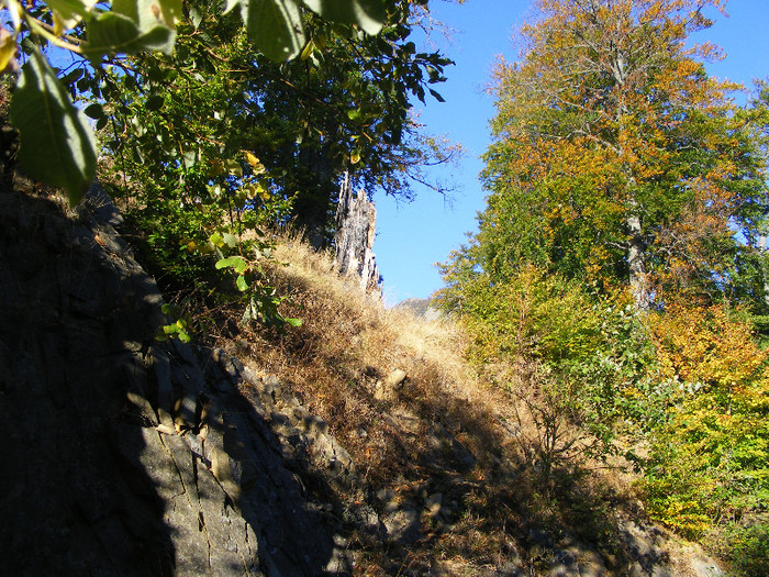 DSCF2067 - Tibles 1