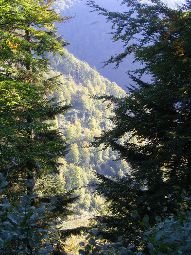 DSCF2076 - Tibles 1