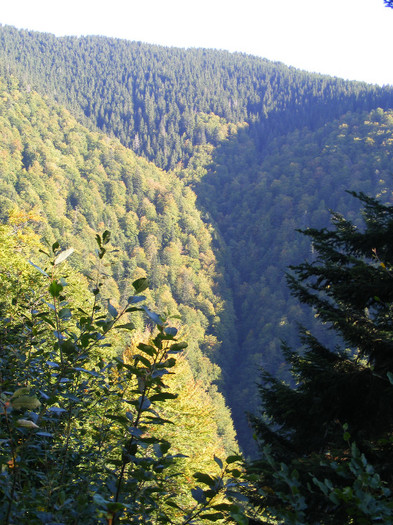 DSCF2078 - Tibles 1