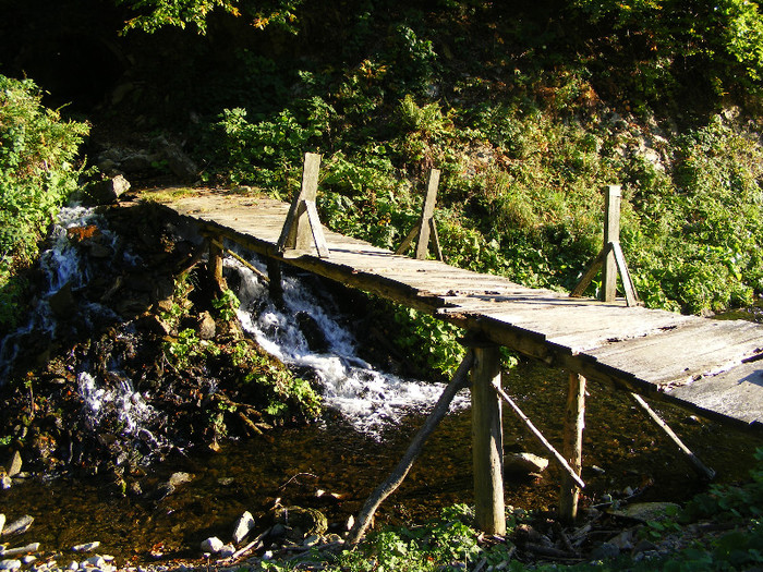 DSCF2110 - Tibles 1