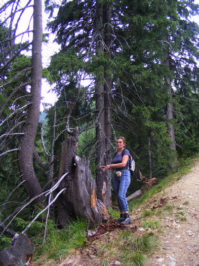 DSCF2298 - Tibles 2